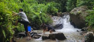 Ringkingpong Homestay - 4