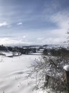 Cefn Farm - 3