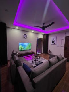 The platinum nest II - 4