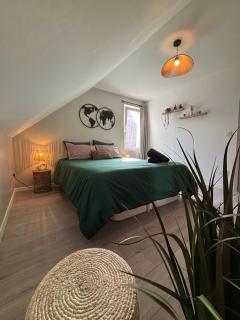 Le Col'Vert - Appartement 50m2 - Colmar Centre - 4