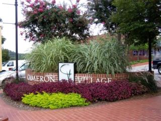 Modern Apartment - Cameron Village - 4