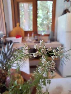 Casinha Mandala - Taipu de Fora - suíte, piscina - 1