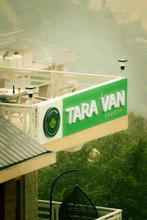 Tara Van - 6