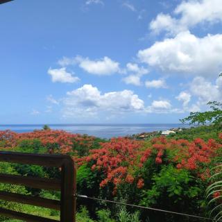 Villa Toc Toc à Bouillante, Guadeloupe - 7