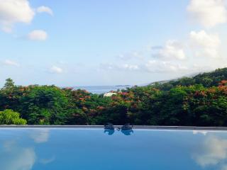 Villa Toc Toc à Bouillante, Guadeloupe - 8
