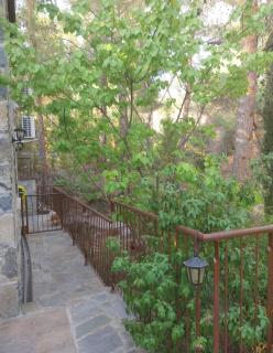 Platres Mountain Cottage - Platres - 2