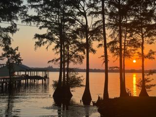 The Dock House - 9