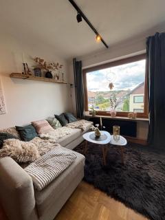 Brauni City Apartment - 9
