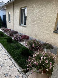 Guest House "MIDNIGHT" - 4