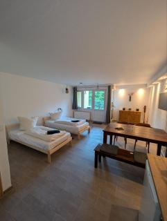 Ruhiges 1 Zimmer Appartement mit Terasse Chemnitz - 0