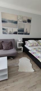 Our Haven in 1220 - 5