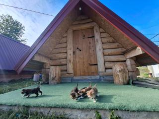 Bungalows Malagić - 2