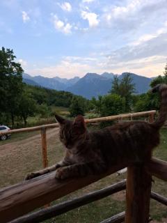 Bungalows Malagić - 4