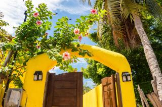 Casa Amarela em Icaraí de Amontada - 9