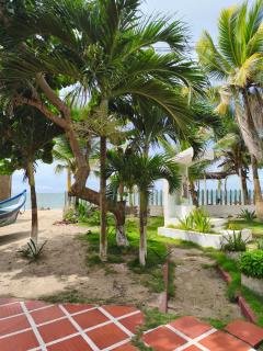 Las Margaritas Frente al Mar 1 - 9