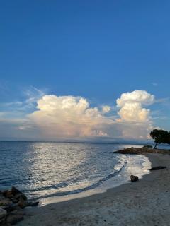 Las Margaritas Frente al Mar 1 - 1