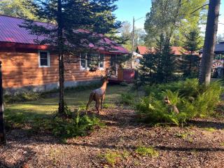 Adirondack Trailside Cabin - 3