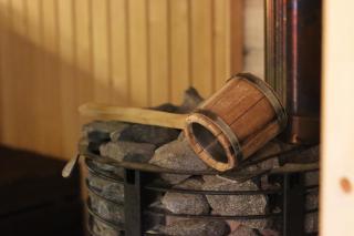 Ackermannia - Laskowice - 9