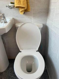 The Green House - Luton - 1