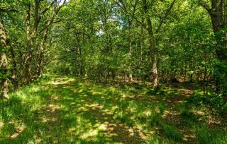 1 Bedroom Lovely Home In Hampen - 2