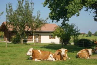 Ferienhaus Axmann - 3