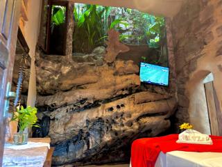 Pousada Flor de Açucena Igatu - 4