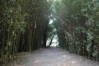 Rancho Nsa Sra Aparecida Nuara Terenos - 6