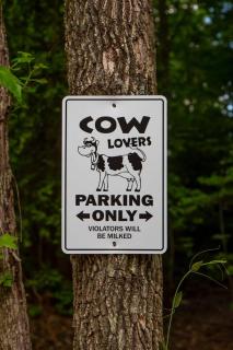 Sunrise, Mountain & Farm View - Heated Tub or Pool - 9