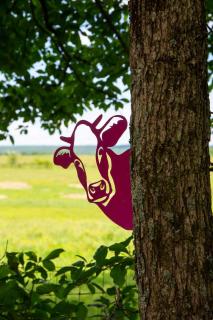 Sunrise, Mountain & Farm View - Heated Tub or Pool - 5