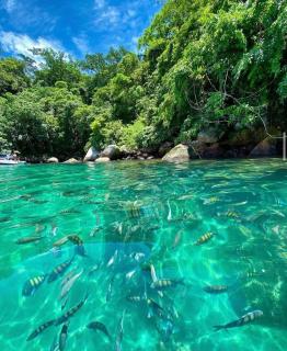 Azusa Paraty - 4
