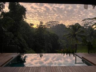 Spacious Villa within Jungle & Private Pool Ubud - 9