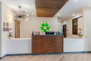 Extended Stay America Premier Suites - Charlottesville - 8