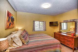 New Listing 3bd Woodsy Vibe in Leadville - 9
