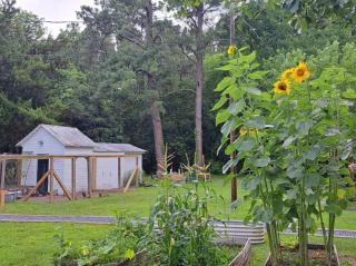 Farmhouse Getaway with Chickens 15 min 2 Beach & DT - 6