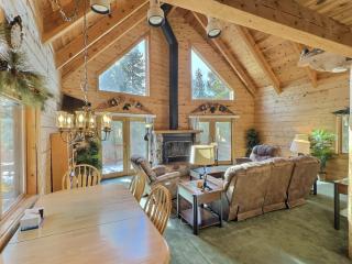 Mountain Log Home-Among Lodgepole Pines - 9