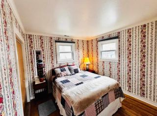 2br bike storage pet friendly walk to main st - 5