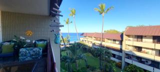 Lovely 2 bedroom condo with ocean view - 1