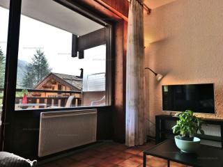 Charmant studio 4 pers. au Grand-Bornand, centre du village - FR-1-458-254 - 5