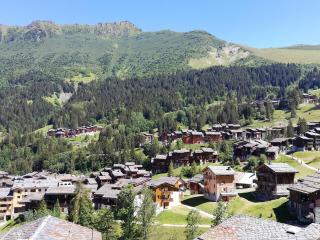 Charmant appartement 27m², proche pistes Valmorel, calme - FR-1-356-542 - 8