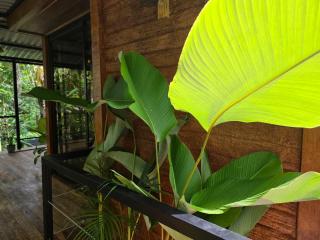 Eden Natural Lodge, La Fortuna - 5
