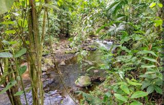 Eden Natural Lodge, La Fortuna - 1