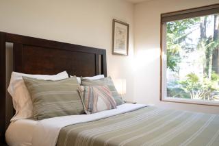 Bellevue Forest Haven Hideaway - 3