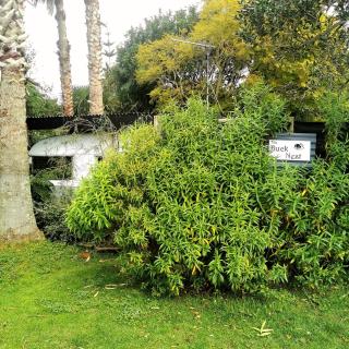Back to Basics Accommodation - 9