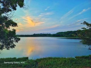 Lilly resort anuradapura - 0