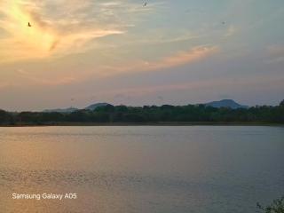 Lilly resort anuradapura - 7