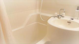 Matsue Plaza Hotel Annex - 5