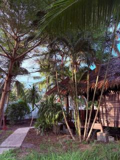 Authentic Thai Wooden House Coconut Lane - 0