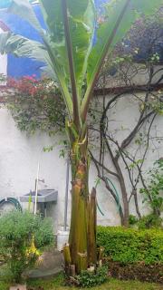 La casa del Jardín - 2