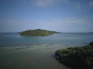 Le Bungalow de la pointe Savane - 9