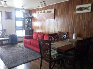 spacious house with quincho - 4